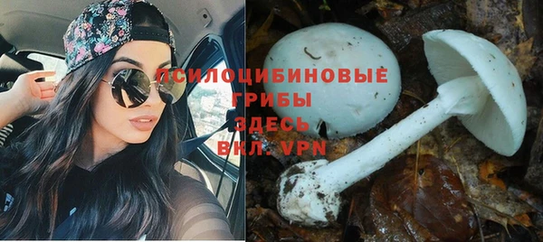 ALPHA PVP Алексин